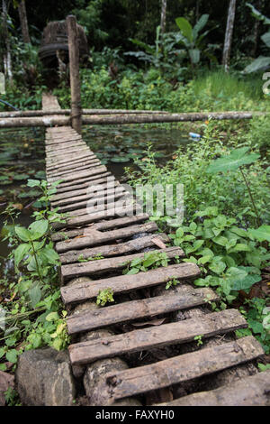 Schmalen Steg im Wald Stockfoto