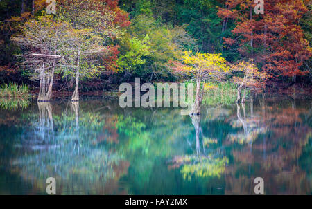 Beavers Bend State Park ist ein 1.300 Hektar State Park in der Nähe von Broken Bow, Oklahoma Stockfoto