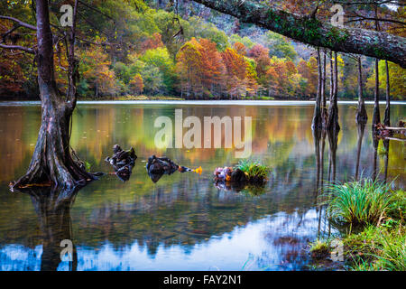 Beavers Bend State Park ist ein 1.300 Hektar State Park in der Nähe von Broken Bow, Oklahoma Stockfoto