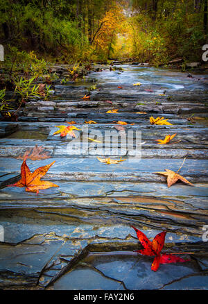 Beavers Bend State Park ist ein 1.300 Hektar State Park in der Nähe von Broken Bow, Oklahoma Stockfoto