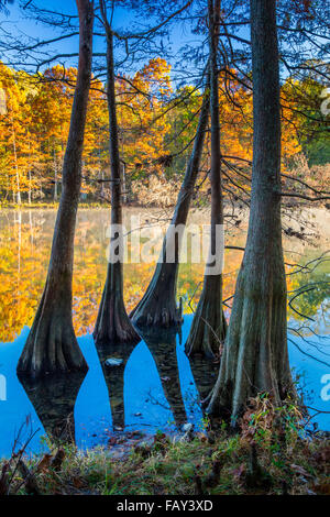 Beavers Bend State Park ist ein 1.300 Hektar State Park in der Nähe von Broken Bow, Oklahoma Stockfoto