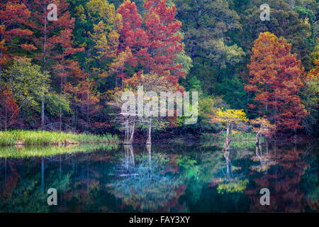 Beavers Bend State Park ist ein 1.300 Hektar State Park in der Nähe von Broken Bow, Oklahoma Stockfoto