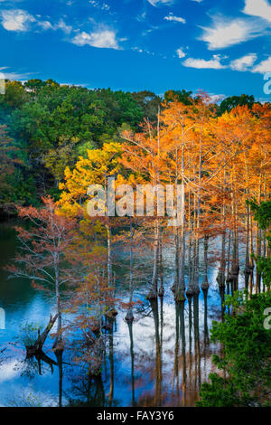 Beavers Bend State Park ist ein 1.300 Hektar State Park in der Nähe von Broken Bow, Oklahoma Stockfoto