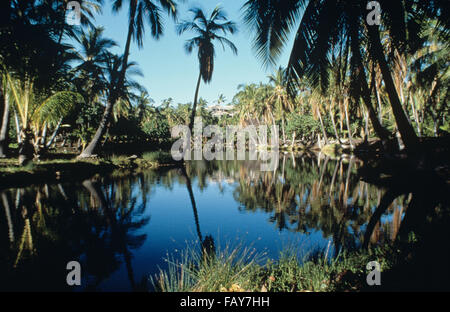 Big Island, Hawaii Kona Dorf am Ka'upulehu, Anchialine Fischteiche Stockfoto