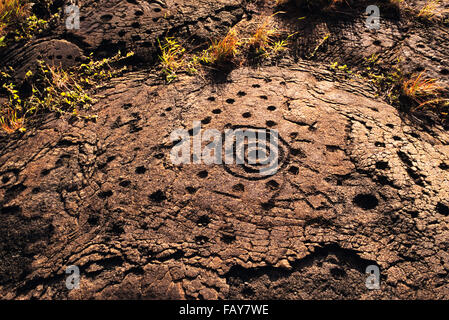 Big Island, Hawaii, Hawaii Volacoes Nationalpark, Pu'uloa Petroglyphen in der ahupua'a (Bodenordnung) von Panau Nui Stockfoto