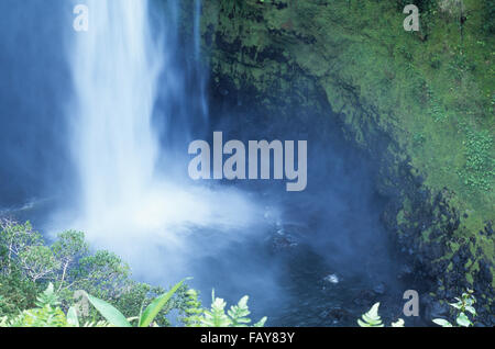 Big Island, Hawaii, "Akaka Falls Detail, Wasserfall, Kolekole Stream Stockfoto