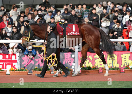 Hyogo, Japan. 26. Dezember 2015. Großen Arthur Horse Racing: Große Arthur wird durch das Fahrerlager vor dem Hanshin-Cup auf dem Hanshin Racecourse in Hyogo, Japan geführt. © Eiichi Yamane/AFLO/Alamy Live-Nachrichten Stockfoto