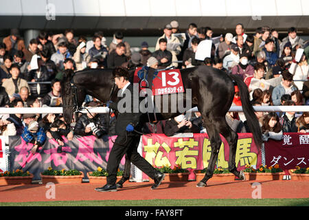 Hyogo, Japan. 26. Dezember 2015. Rosa Gigantea Pferderennen: Rosa Gigantea wird durch das Fahrerlager vor dem Hanshin-Cup auf dem Hanshin Racecourse in Hyogo, Japan geführt. © Eiichi Yamane/AFLO/Alamy Live-Nachrichten Stockfoto