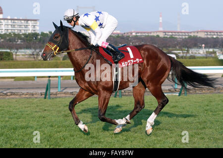 Hyogo, Japan. 26. Dezember 2015. Großen Arthur (Kota Fujioka)-Pferderennen: Große Arthur geritten von Kota Fujioka vor dem Hanshin-Cup auf dem Hanshin Racecourse in Hyogo, Japan. © Eiichi Yamane/AFLO/Alamy Live-Nachrichten Stockfoto