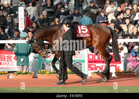 Hyogo, Japan. 26. Dezember 2015. Tanz-Direktor Pferderennen: Tanz Regie ist durch das Fahrerlager vor dem Hanshin-Cup auf dem Hanshin Racecourse in Hyogo, Japan führte. © Eiichi Yamane/AFLO/Alamy Live-Nachrichten Stockfoto