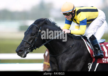 Hyogo, Japan. 26. Dezember 2015. Rosa Gigantea (Mirco Demuro) Pferderennen: Rosa Gigantea geritten von Mirco Demuro gewinnt den Hanshin-Cup auf dem Hanshin Racecourse in Hyogo, Japan. © Eiichi Yamane/AFLO/Alamy Live-Nachrichten Stockfoto