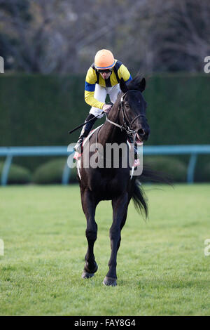 Hyogo, Japan. 26. Dezember 2015. Rosa Gigantea (Mirco Demuro) Pferderennen: Rosa Gigantea geritten von Mirco Demuro nach dem Gewinn des Pokals Hanshin Hanshin Racecourse in Hyogo, Japan. © Eiichi Yamane/AFLO/Alamy Live-Nachrichten Stockfoto