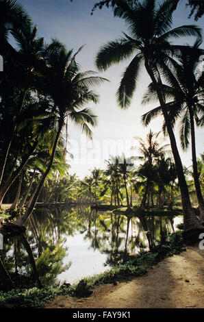 Big Island, Hawaii Kona Dorf am Ka'upulehu, Anchialine Fischteiche Stockfoto