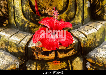 Indonesien, Tejakula, Bali, Hibiskusblüten auf Buddha-statue Stockfoto