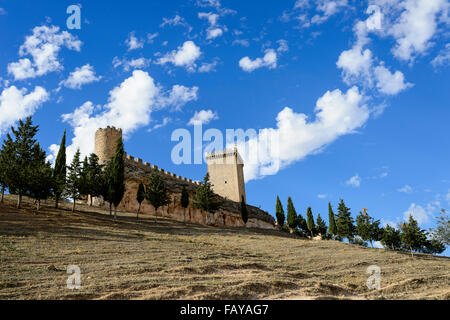 Burg in Peñaranda de Duero Stockfoto