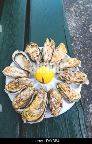 Ein Dutzend Austern und eine Zitrone auf eine Kunststoffplatte, Essen im Freien in der Nähe des Meeres Stockfoto