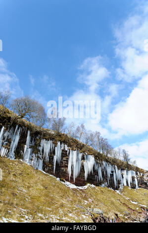 Vorhänge von Eiszapfen, Brecon Beacons National Park, Powys, South Wales, UK Stockfoto