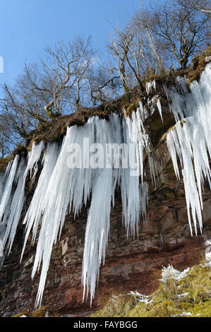 Vorhänge von Eiszapfen, Brecon Beacons National Park, Powys, South Wales, UK Stockfoto