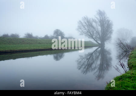 Fens bei Willingham, Cambridgeshire, Großbritannien. 6. Januar 2016. In der Morgendämmerung decken Dichter Nebel den Old West River im Venn bei Willingham in Cambridgeshire. Es war unheimlich ruhig, trübe und noch mit keinen Wind und Spiegel wie Spiegelung im Fluss. Old West River ist Teil des Great Ouse Systems quer aus den Midlands East Anglia zu waschen in Kings Lynn und bisher in diesem Winter hat es geschafft, die Niederschläge enthalten.  Bildnachweis: Julian Eales/Alamy Live-Nachrichten Stockfoto