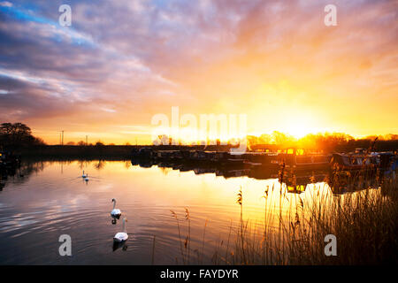 Großbritannien Wetter 6. Januar 2016.  Sonnenaufgang über dem Kanal Boote, Rufford, Lancashire, UK.  Durch die getönten Wolken strömt das weiche gelbe Licht des Sonnenaufgangs.  Brillantes Gold und Orange Farbtöne geblutet wie Feuer im Osten, Weiden die Kanalboote mit seiner willkommene Wärme. Bildnachweis: Cernan Elias/Alamy Live-Nachrichten Stockfoto