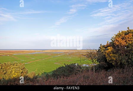 Ein Blick auf die Salzwiesen und Schindel Grat von Walsey Hügeln am Salthouse, Norfolk, England, Vereinigtes Königreich. Stockfoto