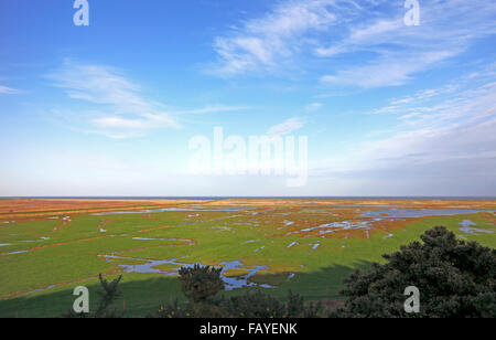 Ein Blick auf Salzwiesen und dem Cley Naturschutzgebiet von Walsey Hügeln, Salthouse, Norfolk, England, Vereinigtes Königreich. Stockfoto