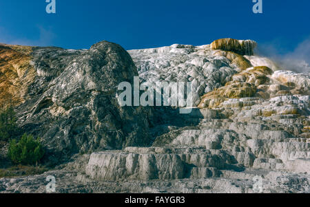 Kalziumkarbonatablagerungen aus heißen Quellen im Herzen des Yellowstone National Park in der Nähe von Mammoth, Wyoming, USA. Stockfoto