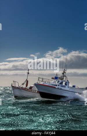 Fischerboote in den Hafen von Reykjavik, Island Stockfoto
