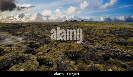 Lava und Moos Dämpfen in einer geothermischen Gebiet-Eldvorp, Halbinsel Reykjanes, Island Stockfoto