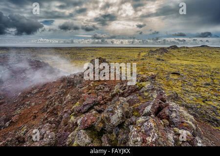 Lava und Moos Dämpfen in einer geothermischen Gebiet-Eldvorp, Halbinsel Reykjanes, Island Stockfoto