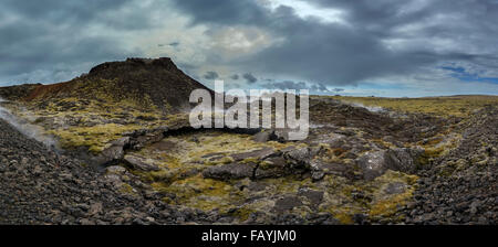 Lava und Moos Dämpfen in einer geothermischen Gebiet-Eldvorp, Halbinsel Reykjanes, Island Stockfoto