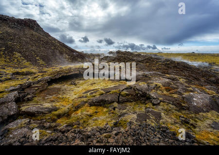 Lava und Moos Dämpfen in einer geothermischen Gebiet-Eldvorp, Halbinsel Reykjanes, Island Stockfoto