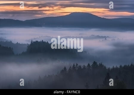 nebligen Morgendämmerung über die Böhmische Schweiz Stockfoto