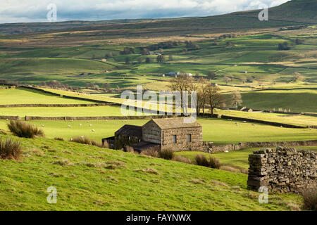 Landschaft in den Yorkshire Dales in der Nähe von Hawes in Wensleydale, England. Stockfoto