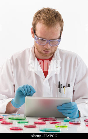 Wissenschaftler mit Tablet im mikrobiologischen Labor Stockfoto