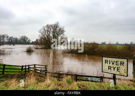 Howe-Brücke in der Nähe von Pickering, North Yorkshire, UK. 6. Januar 2016. Seit dem Fluss Roggen platzen seiner Banken die Überflutung weiter verschlingen einen noch größeren Bereich Credit: Richard Burdon/Alamy Live News Stockfoto