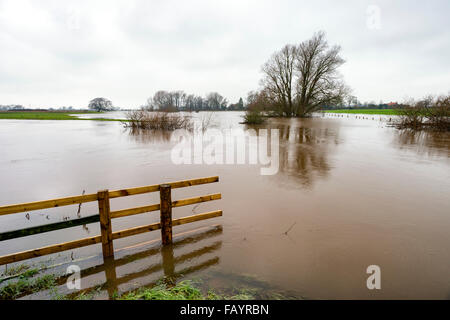 Howe-Brücke in der Nähe von Pickering, North Yorkshire, UK. 6. Januar 2016. Seit dem Fluss Roggen platzen seiner Banken die Überflutung weiter verschlingen einen noch größeren Bereich Credit: Richard Burdon/Alamy Live News Stockfoto