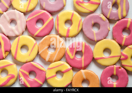 bunte Ausbreitung des Fuchses Mini Party Ringe Kekse setzen auf weißem Hintergrund Stockfoto