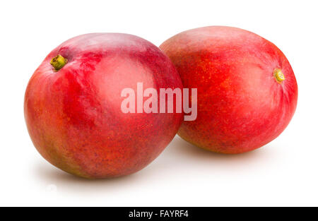 Mango, isoliert Stockfoto