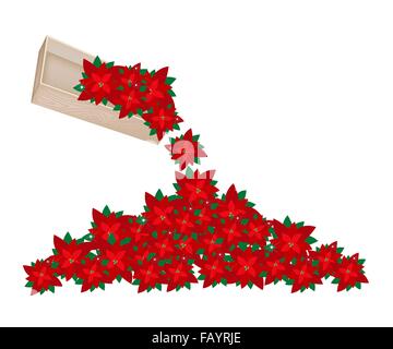 Eine Illustration Haufen Weihnachten Blumen oder roten Weihnachtsstern für Weihnachtsfeier von Holzkiste auf dem Boden verschüttet. Stockfoto