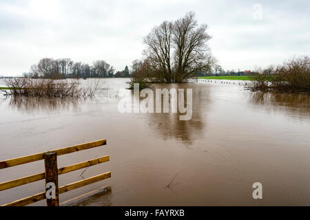 Howe-Brücke in der Nähe von Pickering, North Yorkshire, UK. 6. Januar 2016. Seit dem Fluss Roggen platzen seiner Banken die Überflutung weiter verschlingen einen noch größeren Bereich Credit: Richard Burdon/Alamy Live News Stockfoto