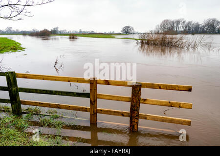 Howe-Brücke in der Nähe von Pickering, North Yorkshire, UK. 6. Januar 2016. Seit dem Fluss Roggen platzen seiner Banken die Überflutung weiter verschlingen einen noch größeren Bereich Credit: Richard Burdon/Alamy Live News Stockfoto