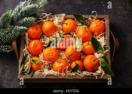 Mandarinen mit Blättern in Holzkiste und Tanne Zweig Stockfoto