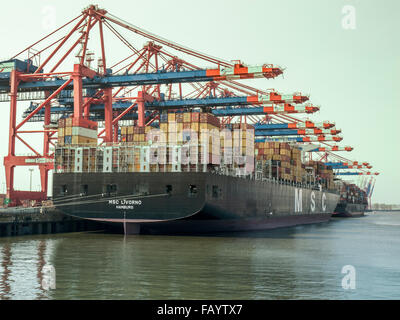 Containerschiff "MSC Livorno" am Eurogate Container Terminal im Hamburger Hafen festgemacht Stockfoto