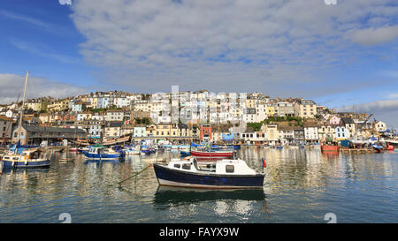 Boote im Hafen von Brixham, Brixham, Devon, festgemacht an einem herrlichen Sommertag; die Stadt erhebt sich im Hintergrund Stockfoto