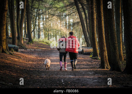 Mann mit den Arm um die Frau zu Fuß entlang Wald Weg mit Ihren Hund Stockfoto