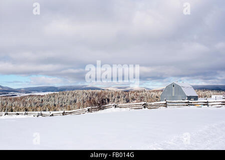 Winter-Szene Stockfoto