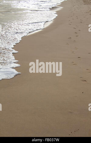 Strand Praia de Santa Eulalia, in der Nähe von Albufeira, Algarve, Portugal Stockfoto