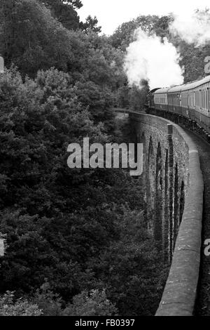 7827 Hols Lydham Manor einen Zug über die Greenway-Viadukt in Richtung Kingswear Station auf die Dartmouth Steam Railway, Devon Stockfoto