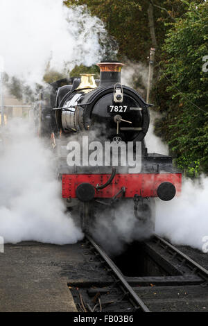 7827 Lydham Manor Dampflokomotive übergibt einen Rake von Kutschen in Paignton Station auf die Dartmouth Steam Railway, Devon Stockfoto